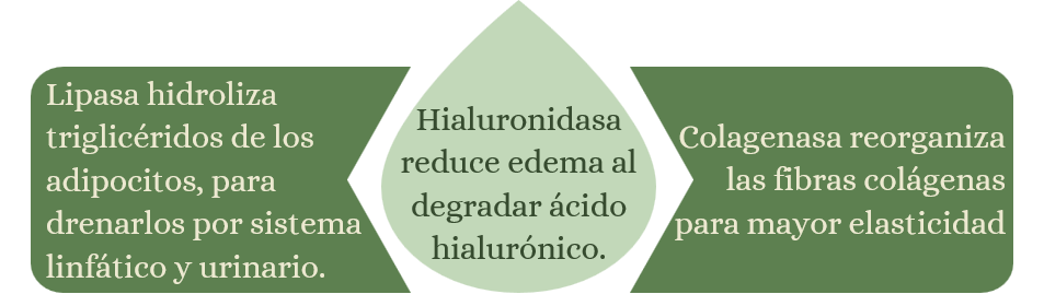 Reducción de Grasa
