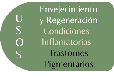 Regeneración de la Piel 2